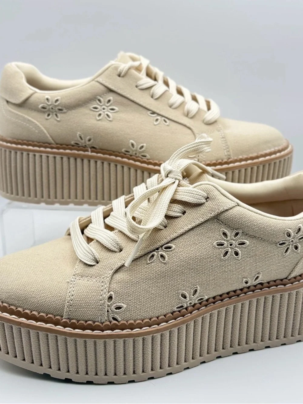 Dolce Vita Cream Canvas Platform Sneakers with Eyelet Details